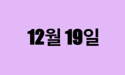 12월 19일 생일 탄생화, 탄생석, 별자리, 꽃말, 운세, 사주