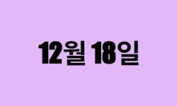 12월 18일 생일 탄생화, 탄생석, 별자리, 꽃말, 운세, 사주