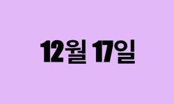 12월 17일 생일 탄생화, 탄생석, 별자리, 꽃말, 운세, 사주