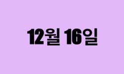 12월 16일 생일 탄생화, 탄생석, 별자리, 꽃말, 운세, 사주