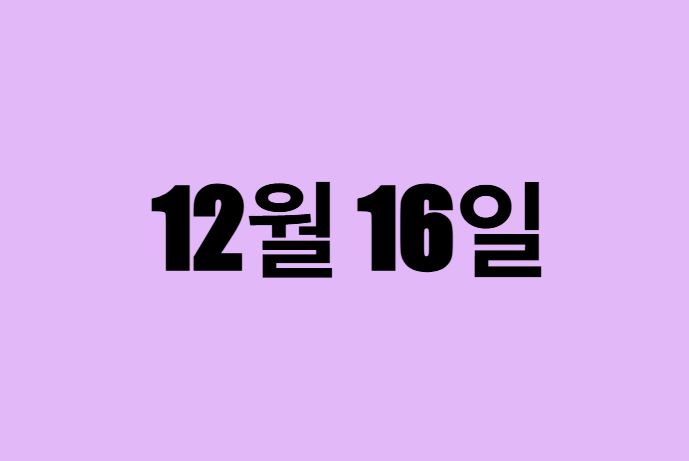 12월 16일 생일 탄생화, 탄생석, 별자리, 꽃말, 운세, 사주