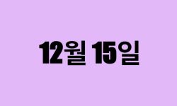 12월 15일 생일 탄생화, 탄생석, 별자리, 꽃말, 운세, 사주