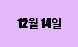 12월 14일 생일 탄생화, 탄생석, 별자리, 꽃말, 운세, 사주