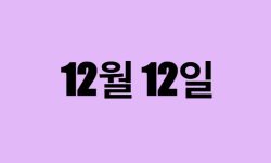 12월 12일 생일 탄생화, 탄생석, 별자리, 꽃말, 운세, 사주