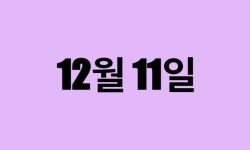 12월 11일 생일 탄생화, 탄생석, 별자리, 꽃말, 운세, 사주