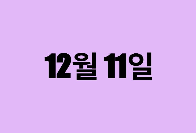 12월 11일 생일 탄생화, 탄생석, 별자리, 꽃말, 운세, 사주
