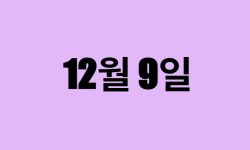12월 9일 생일 탄생화, 탄생석, 별자리, 꽃말, 운세, 사주