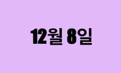 12월 8일 생일 탄생화, 탄생석, 별자리, 꽃말, 운세, 사주