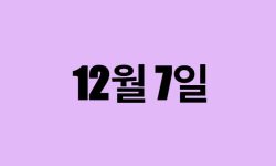12월 7일 생일 탄생화, 탄생석, 별자리, 꽃말, 운세, 사주