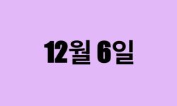 12월 6일 생일 탄생화, 탄생석, 별자리, 꽃말, 운세, 사주