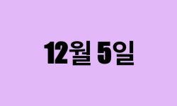 12월 5일 생일 탄생화, 탄생석, 별자리, 꽃말, 운세, 사주