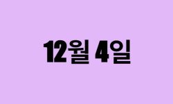 12월 4일 생일 탄생화, 탄생석, 별자리, 꽃말, 운세, 사주