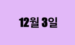 12월 3일 생일 탄생화, 탄생석, 별자리, 꽃말, 운세, 사주