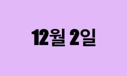 12월 2일 생일 탄생화, 탄생석, 별자리, 꽃말, 운세, 사주