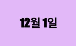 12월 1일 생일 탄생화, 탄생석, 별자리, 꽃말, 운세, 사주